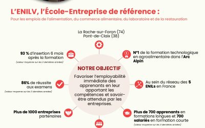 Collecte du solde de la taxe d’apprentissage 2026 sur la plateforme SOLTéA